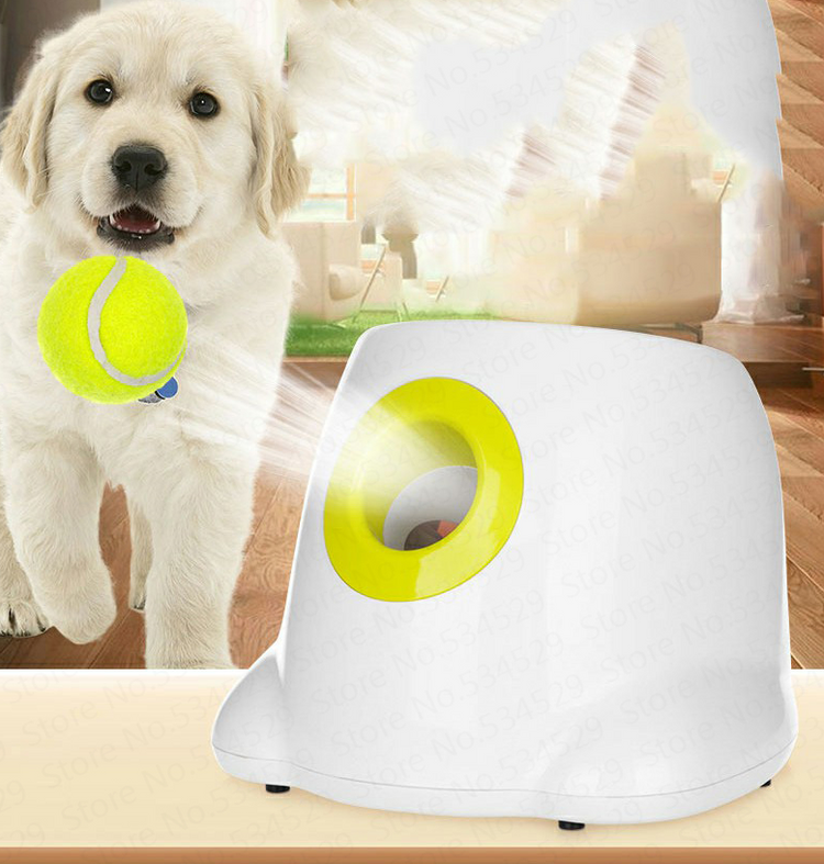 Pet Supplies